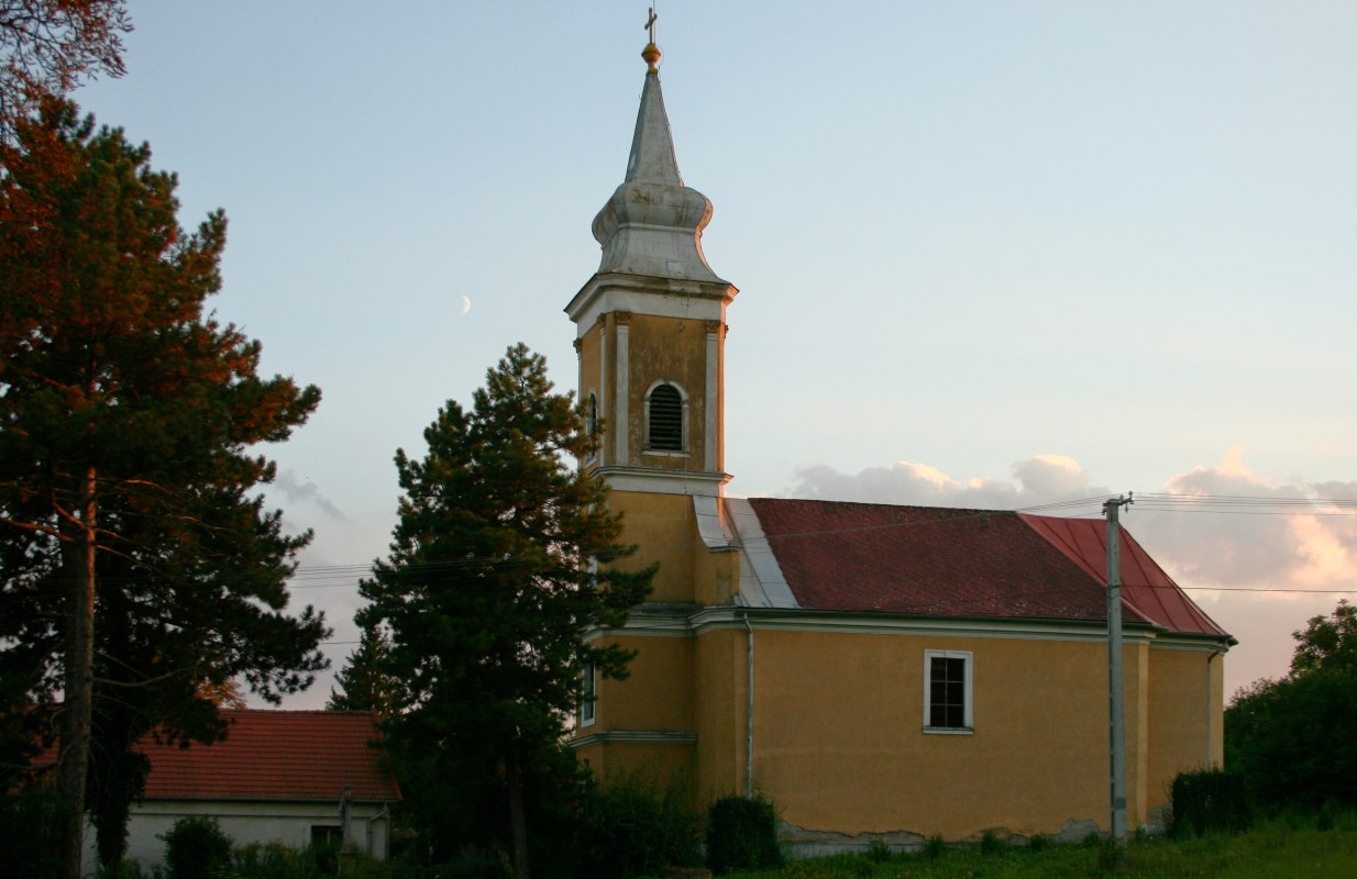 Vatta